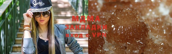 индика Дмитров