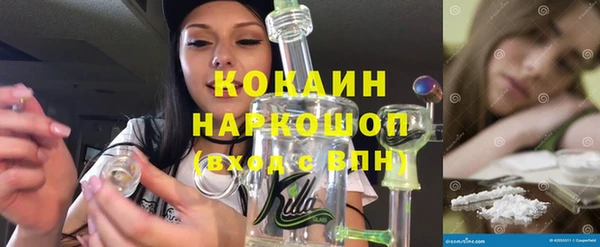 PSILOCYBIN Чегем