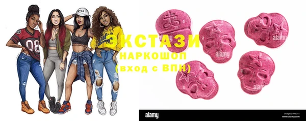 индика Дмитров