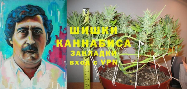 индика Дмитров