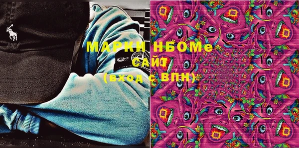 индика Дмитров