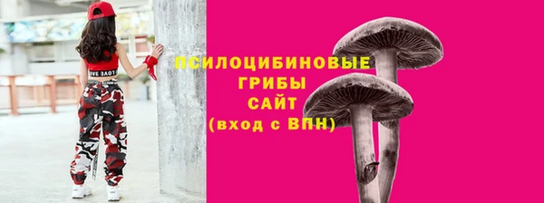индика Дмитров