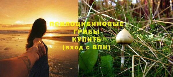 спиды Нея