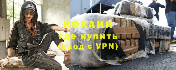 индика Дмитров