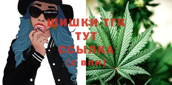 индика Дмитров