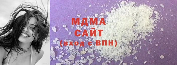 индика Дмитров