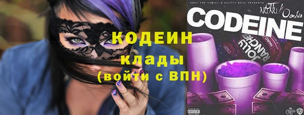PSILOCYBIN Чегем