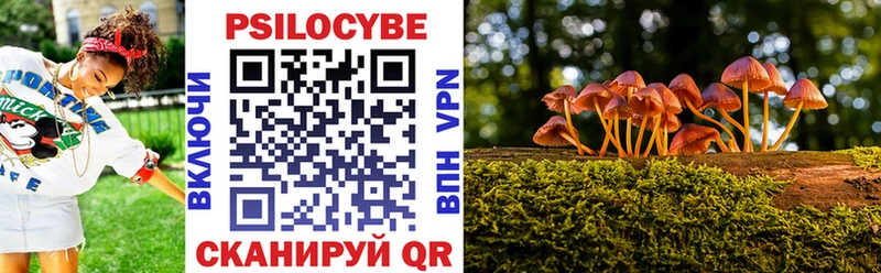 наркотики  Питкяранта  Галлюциногенные грибы мухоморы 